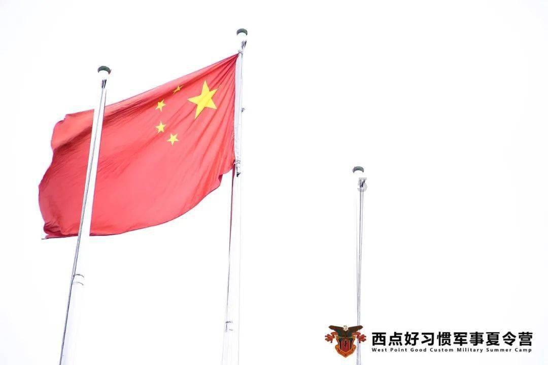 营救小乌龟