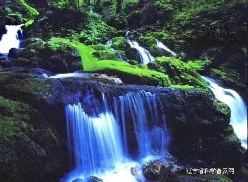 逗小猴开心系列192